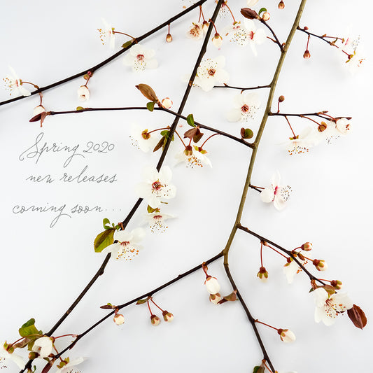 New Releases for Spring 2020