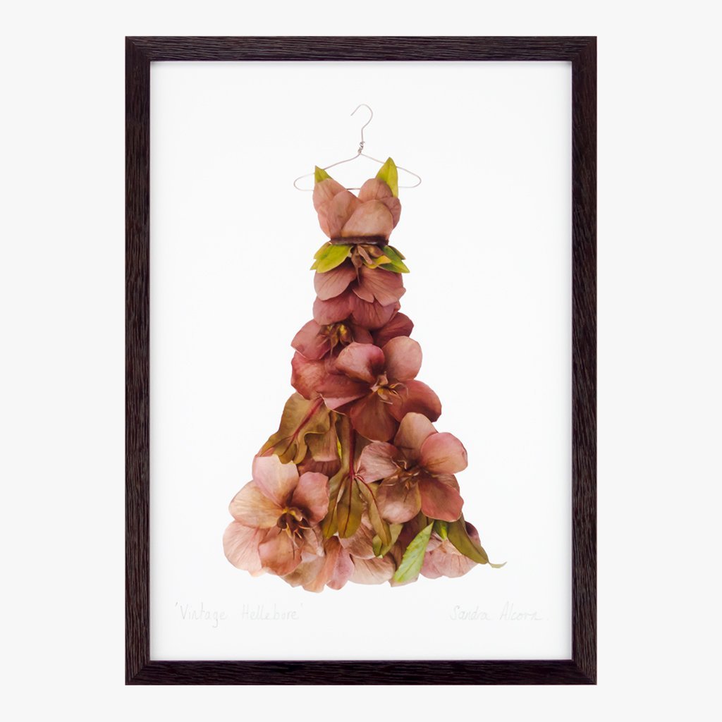 vintage hellebore dress art print by petal & pins