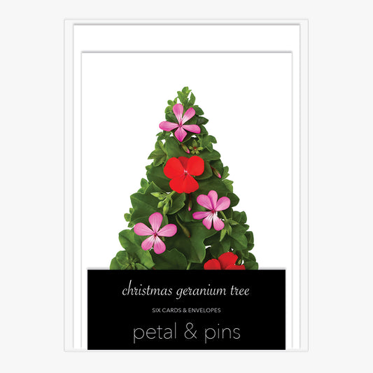 christmas geranium tree - boxed set of six christmas cards by petal & pins