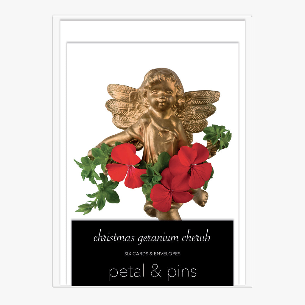 christmas geranium cherub - boxed set of six christmas cards by petal & pins