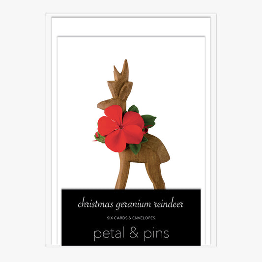 christmas geranium reindeer - boxed set of six christmas cards by petal & pins