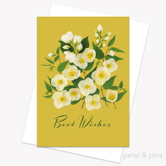 Blossom best wishes card by petal & pins