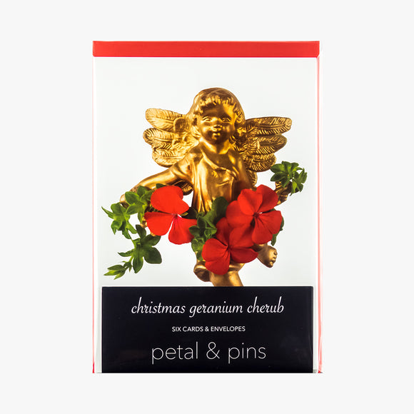 christmas geranium cherub cards - pack of six christmas cards by petal & pins