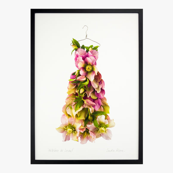 hellebore du levant dress art print by petal & pins